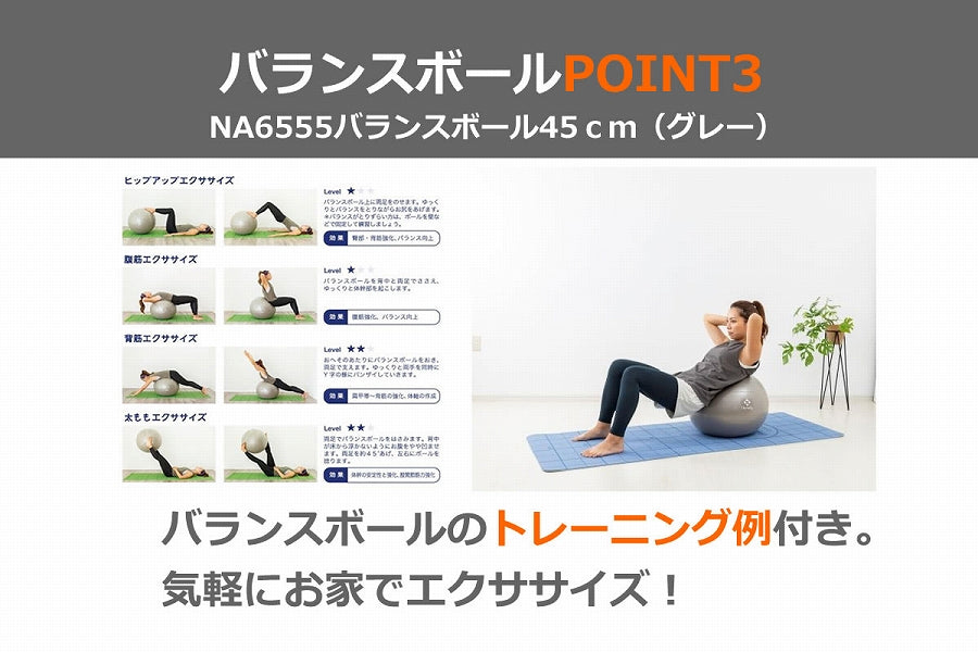 NA6555 バランスボール45cm