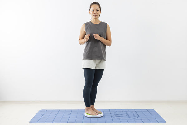 NA6593 ボディーツイスター