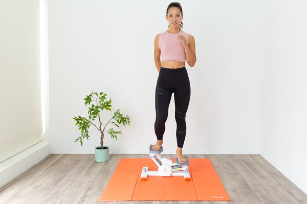 NA6104 エンジョイバランスステッパー