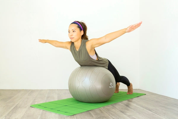 NA6432 トレーニングガイドバランスボール55cm(グレー)