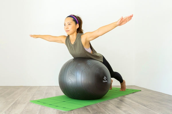 NA6449 トレーニングガイドバランスボール65cm(ブラック)